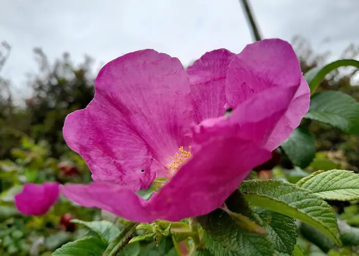 בית נופש Tir Beag Eile